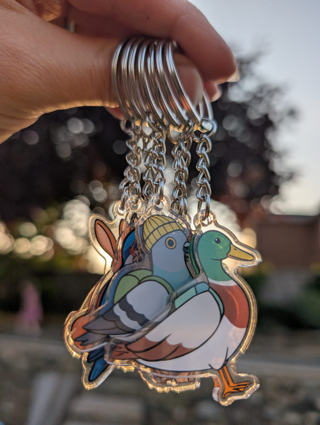 Pin badger keyrings held up with sun beaming through in an outdoor setting