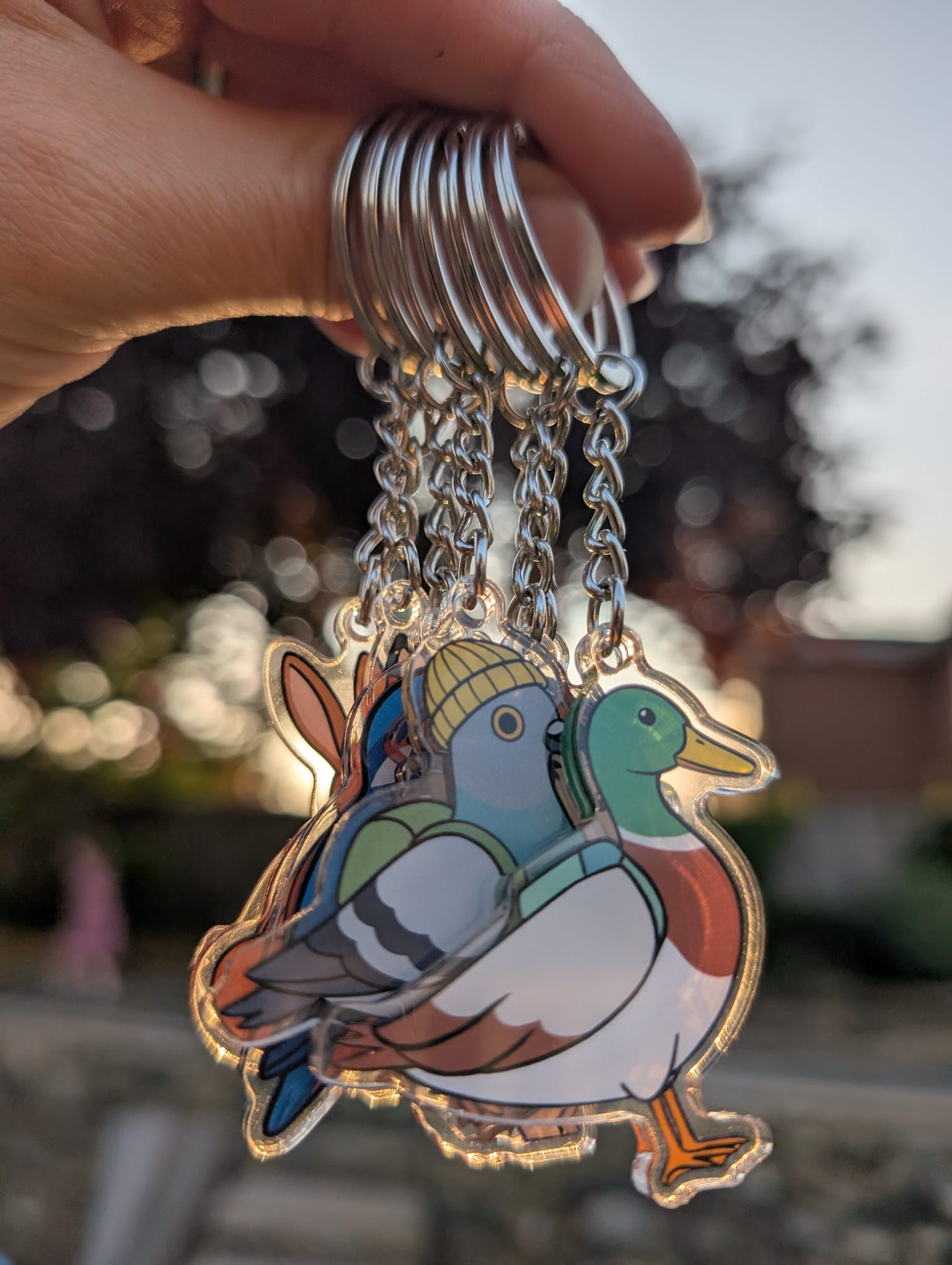 Pin badger keyrings held up with sun beaming through in an outdoor setting