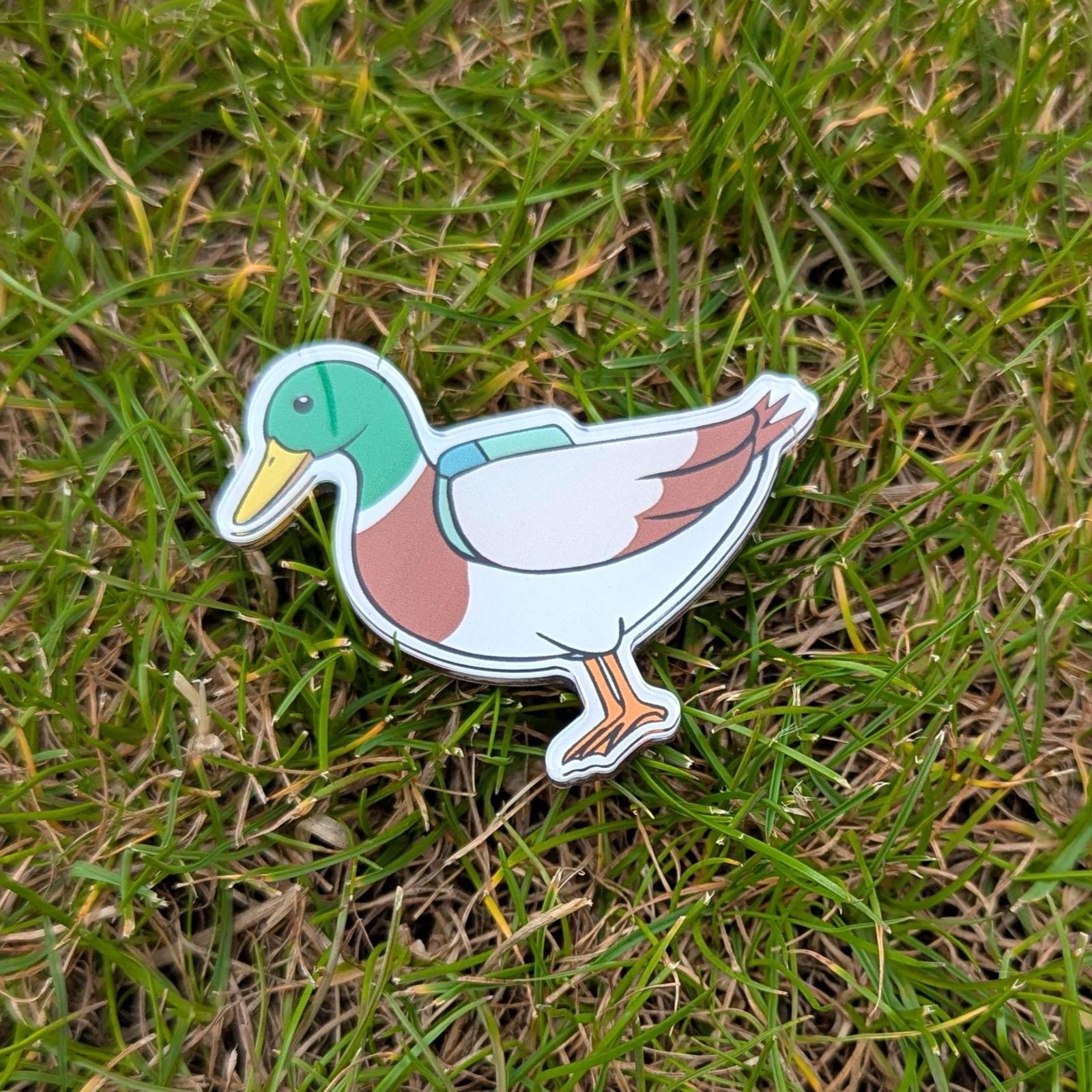 Colourful duck fridge magnet on grass