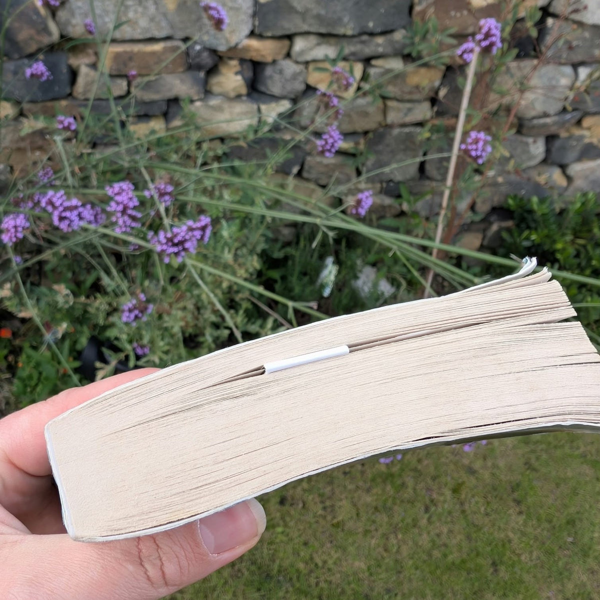 Pigeon Magnetic Bookmark