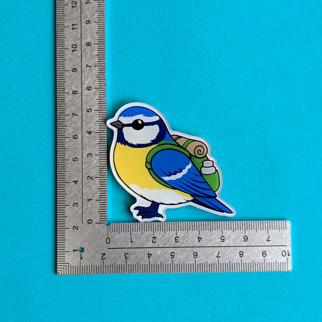 Blue tit magnet with a ruler on a blue background