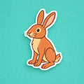brown hare fridge magnet on teal background
