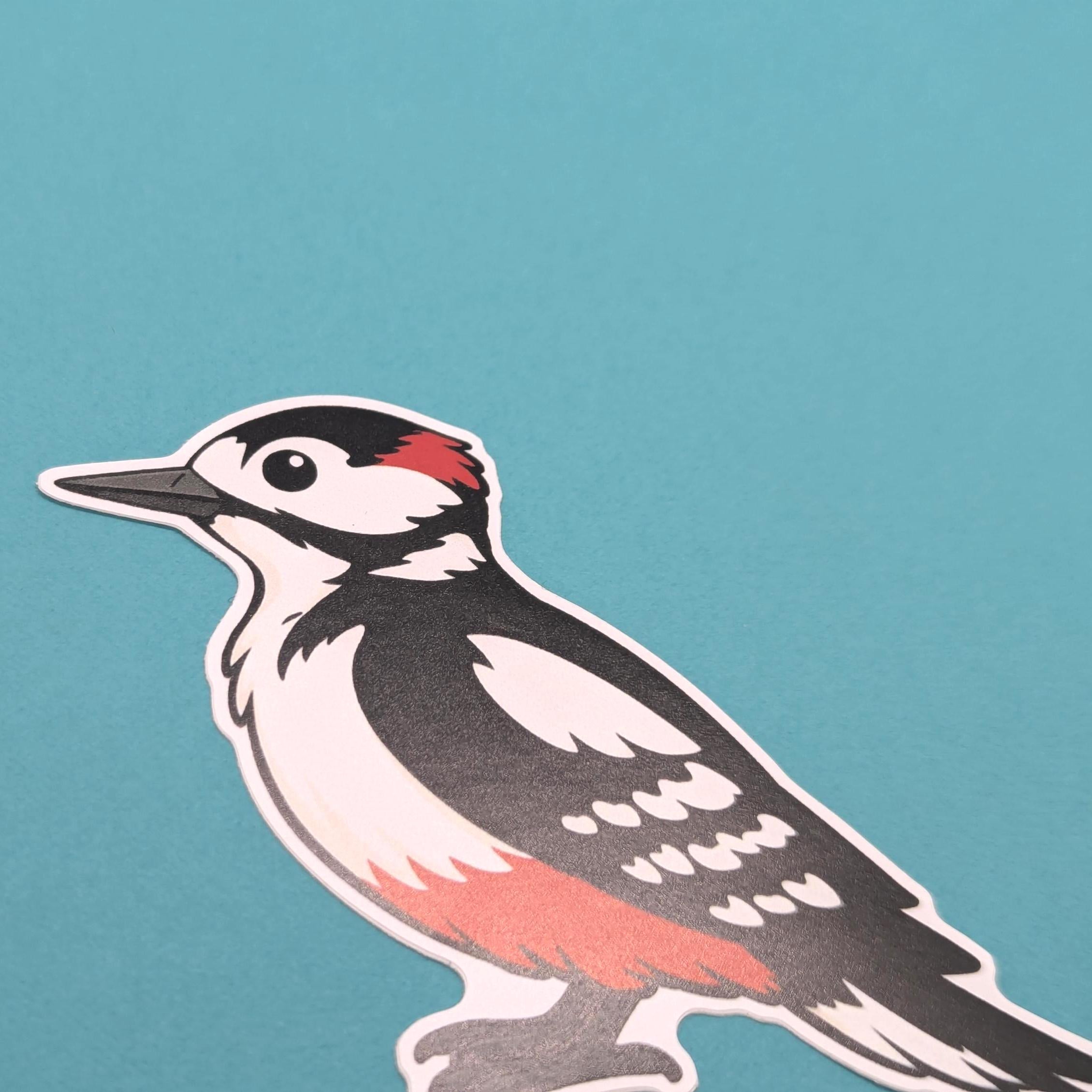 sticker of a woodpecker on a teal background