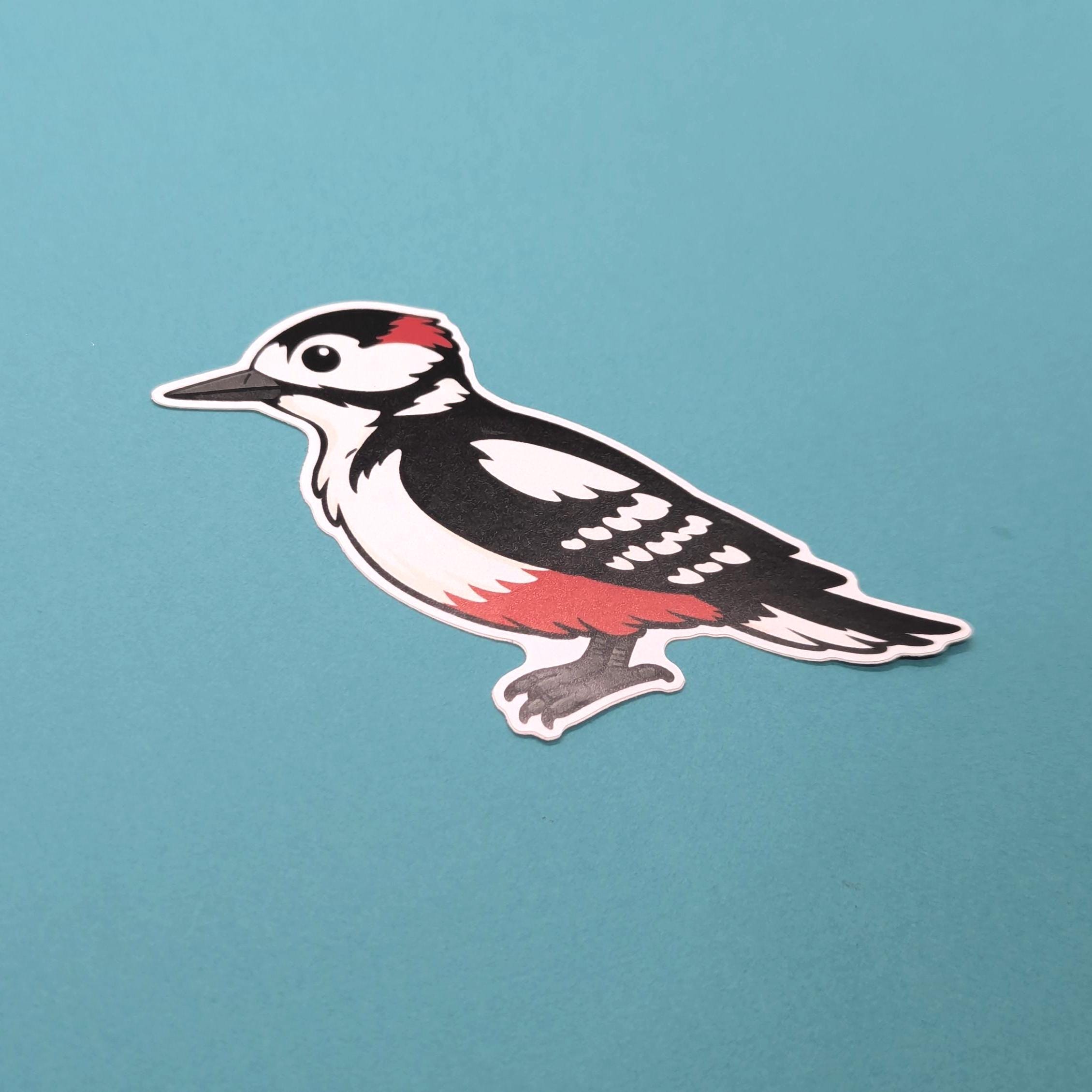 Sticker of a great spotted woodpecker on a teal background
