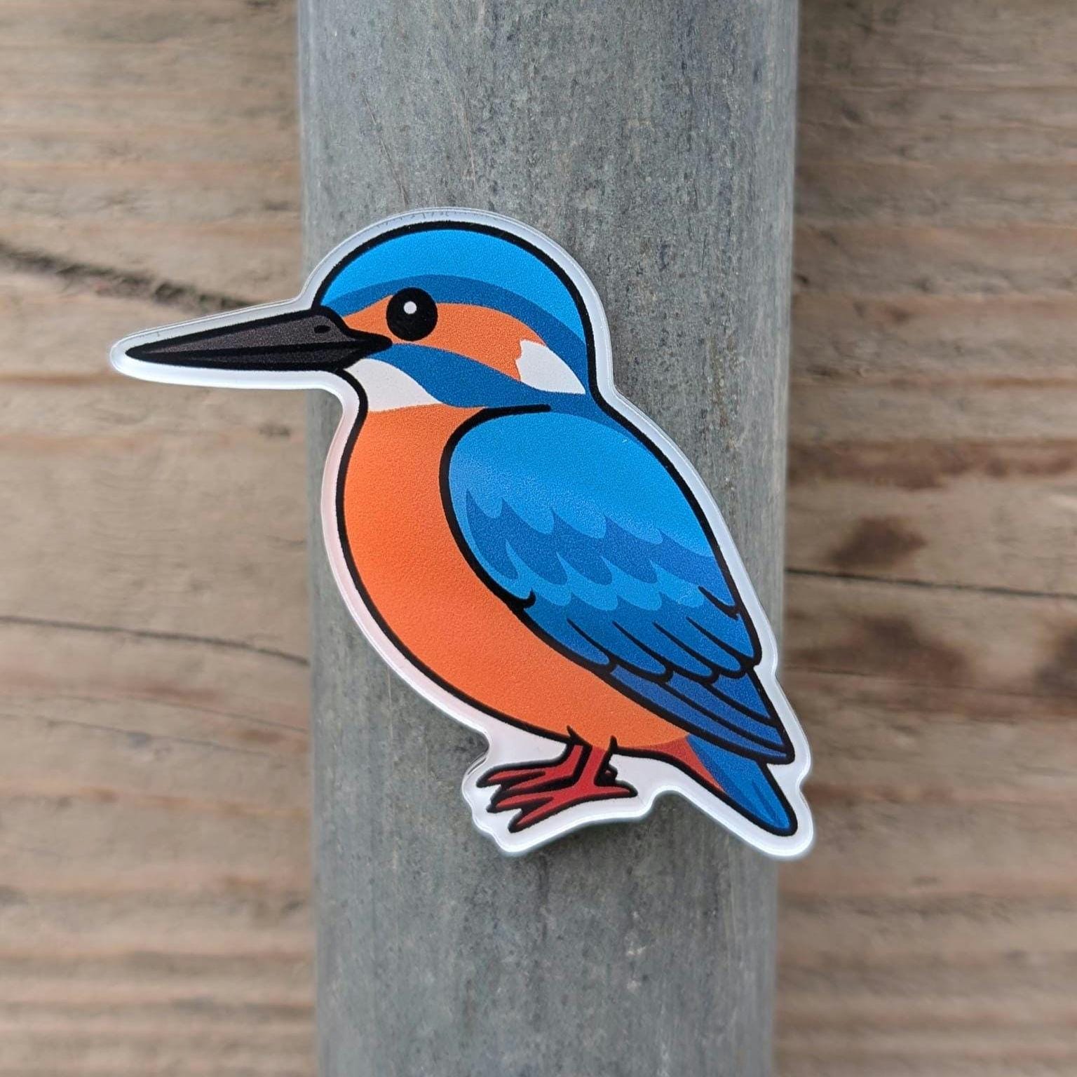 Colourful kingfisher bird fridge magnet on a wooden surface