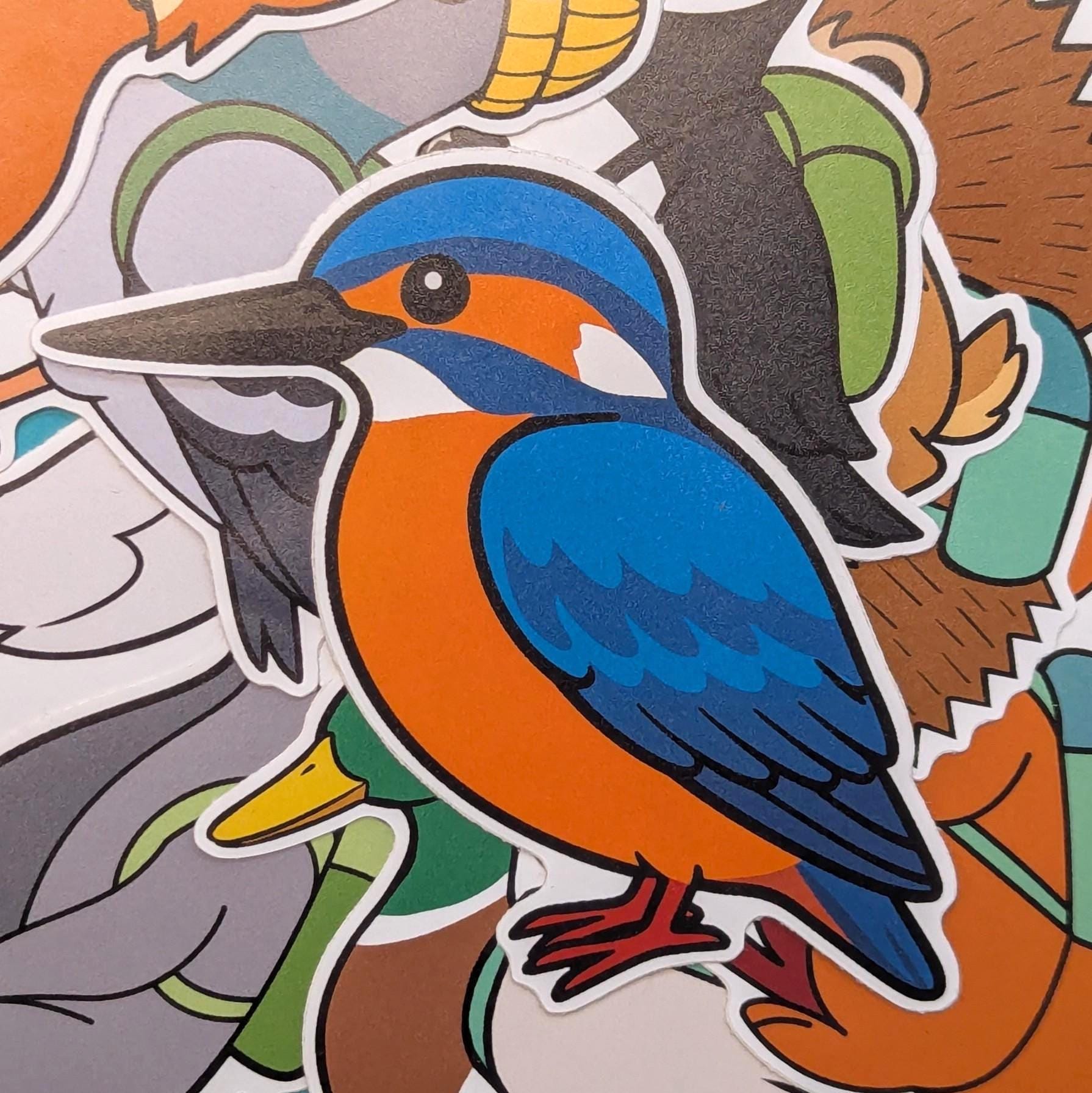 Colourful sticker of a kingfisher bird on a patterned background