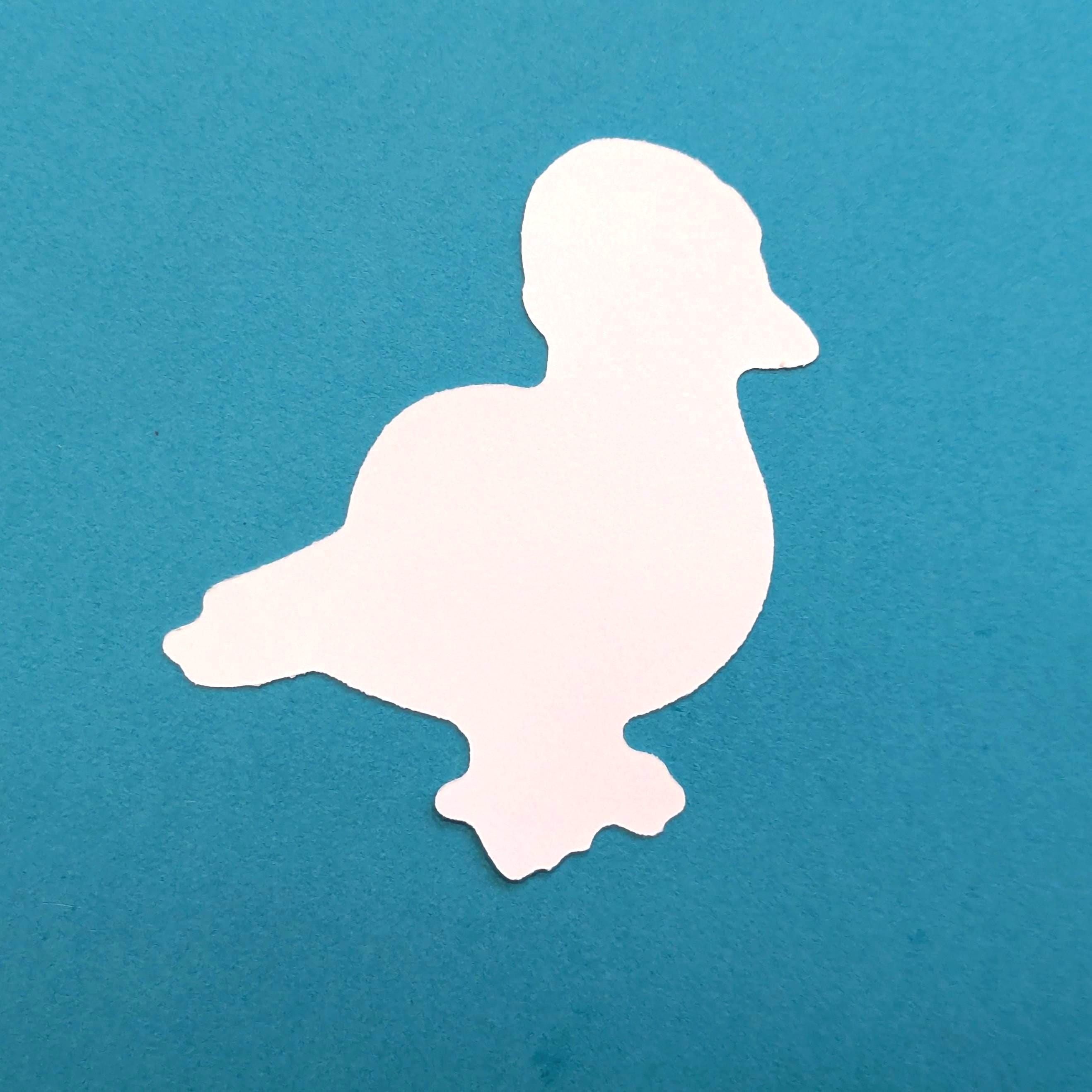 back view of a pigeon sticker wearing a beanie