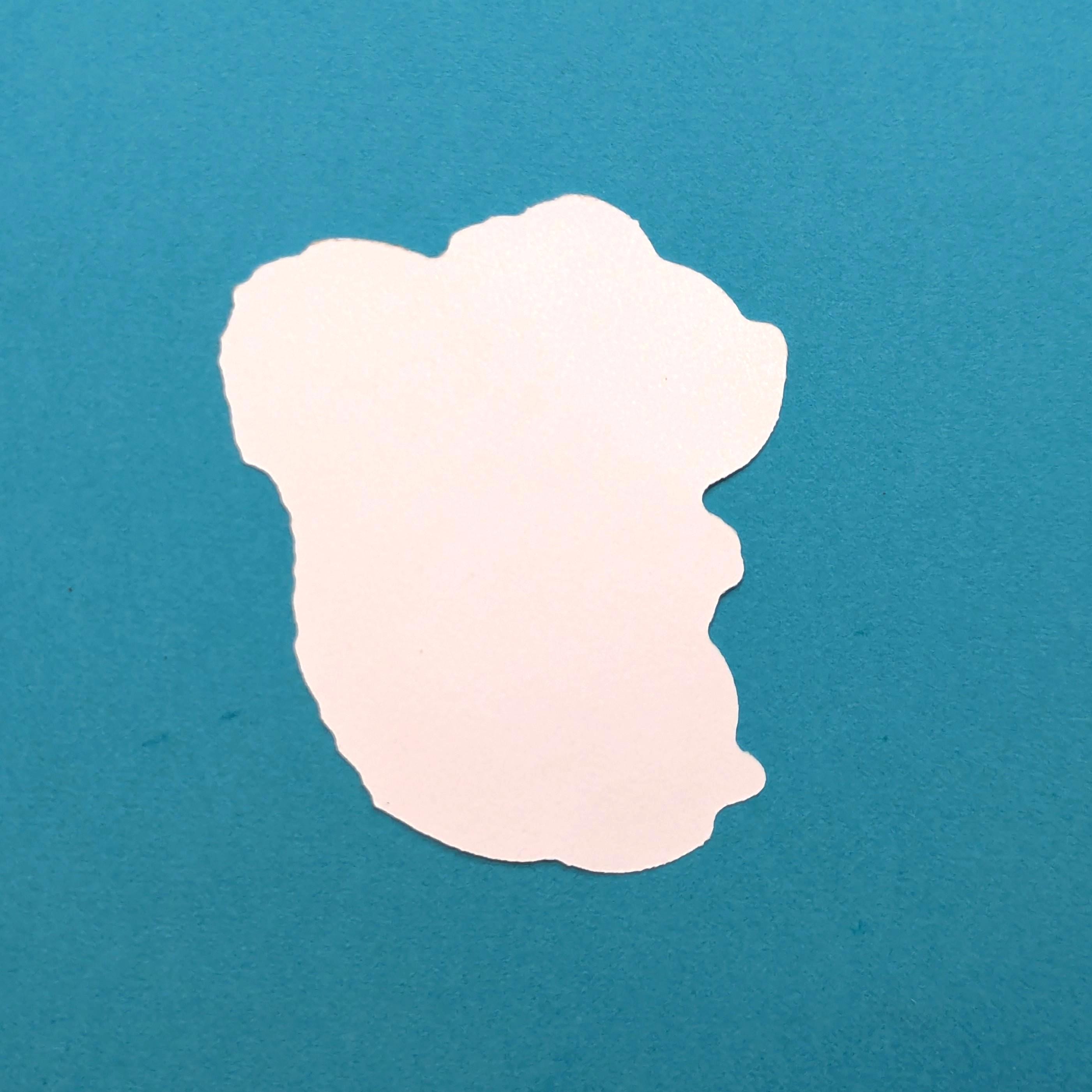 back of red squirrel vinyl sticker