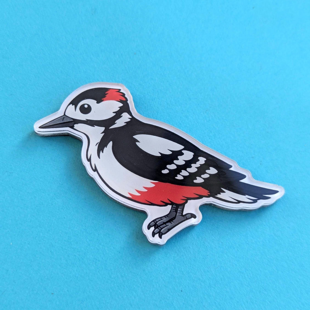 Fridge magnet of a woodpecker on a blue background