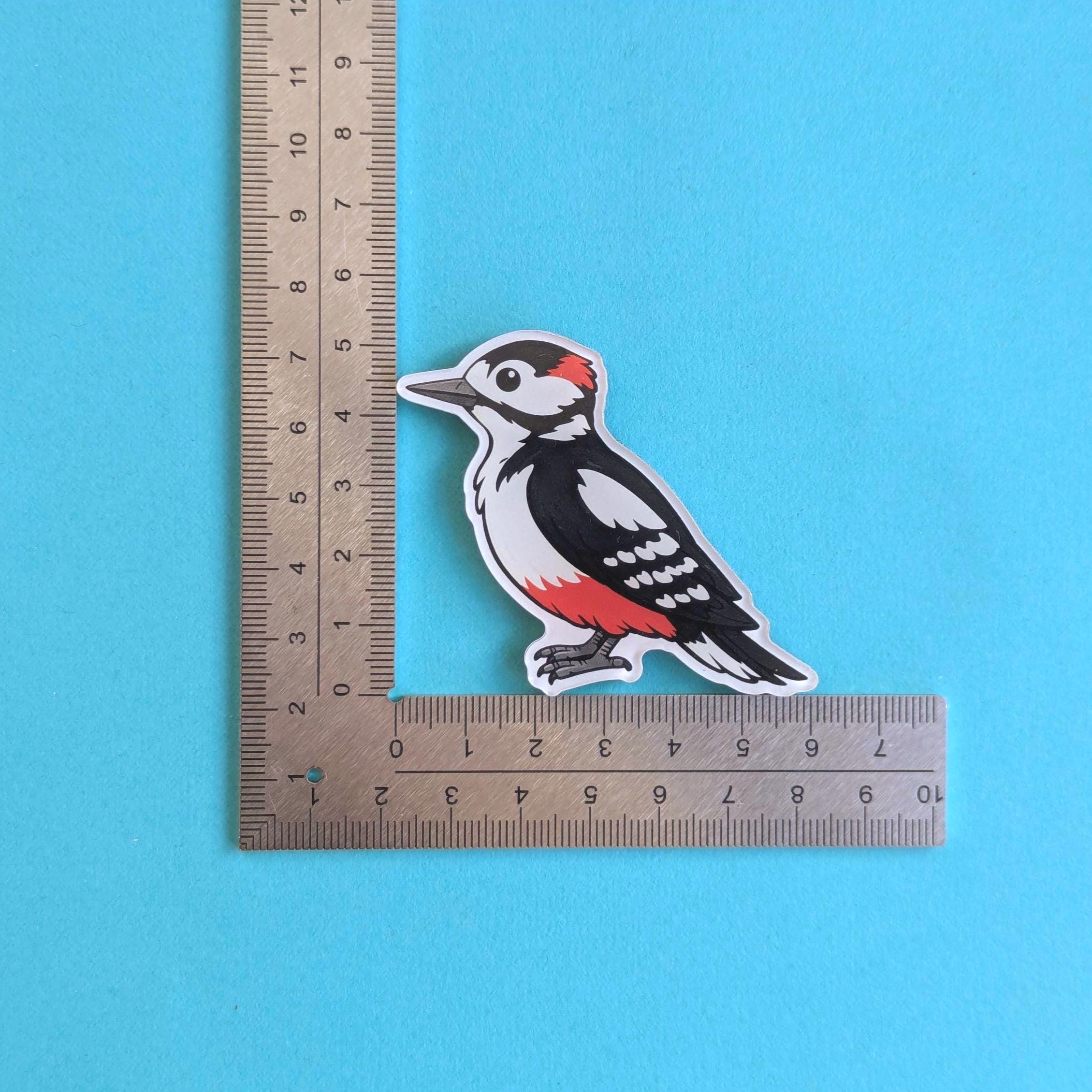 Woodpecker fridge magnet next to a ruler on a blue background